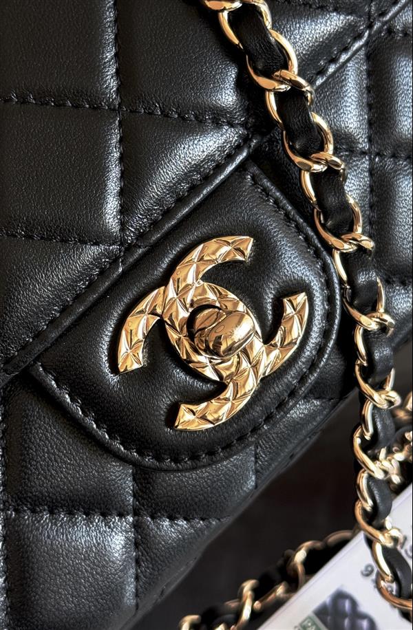 2026131222439636 700